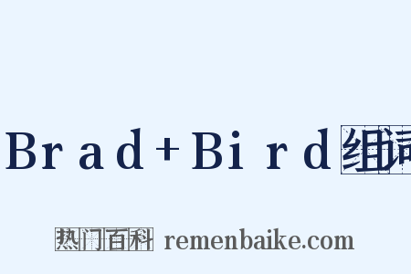 Brad+Bird组词是什么意思的图片